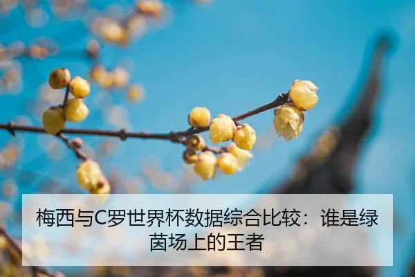 mei-xi-yu-luo-shi-jie-bei-shu-ju-zong-he-bi-jiao-shui-shi-lv-yin-chang-shang-de-wang-zhe-2-531.jpg