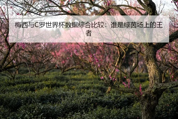 梅西与C罗世界杯数据综合比较：谁是绿茵场上的王者