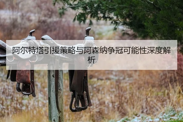 阿尔特塔引援策略与阿森纳争冠可能性深度解析